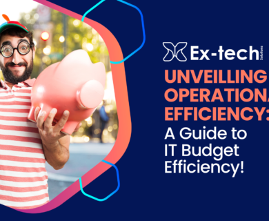 Unveiling Operational Excellence: A Guide to IT Budget Efficiency